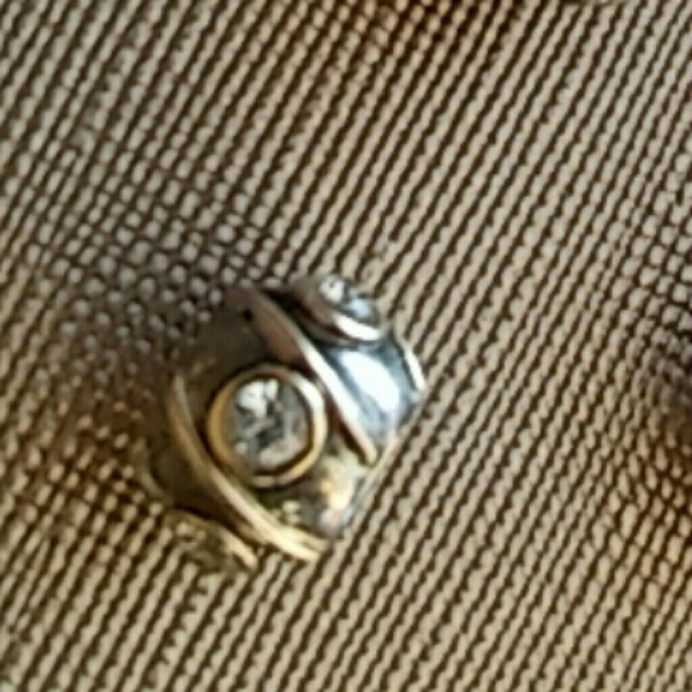 💯% Authentic Chamilia 585/925 two-toned charm!